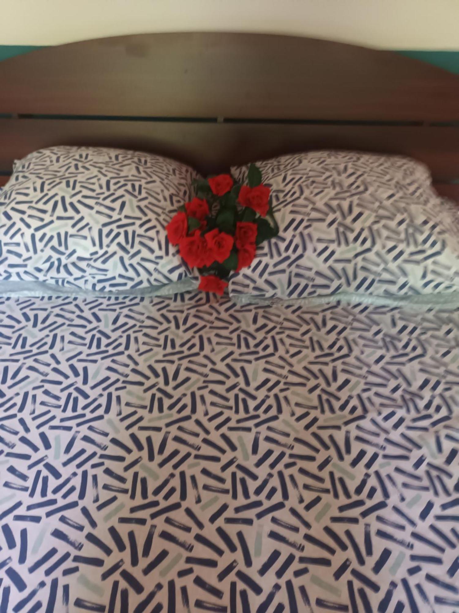 Lovely Flowers In Mount Lavinia マウントラビニア エクステリア 写真