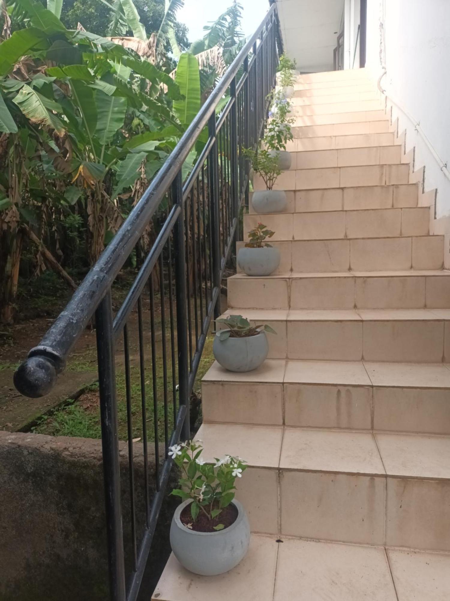 Lovely Flowers In Mount Lavinia マウントラビニア エクステリア 写真
