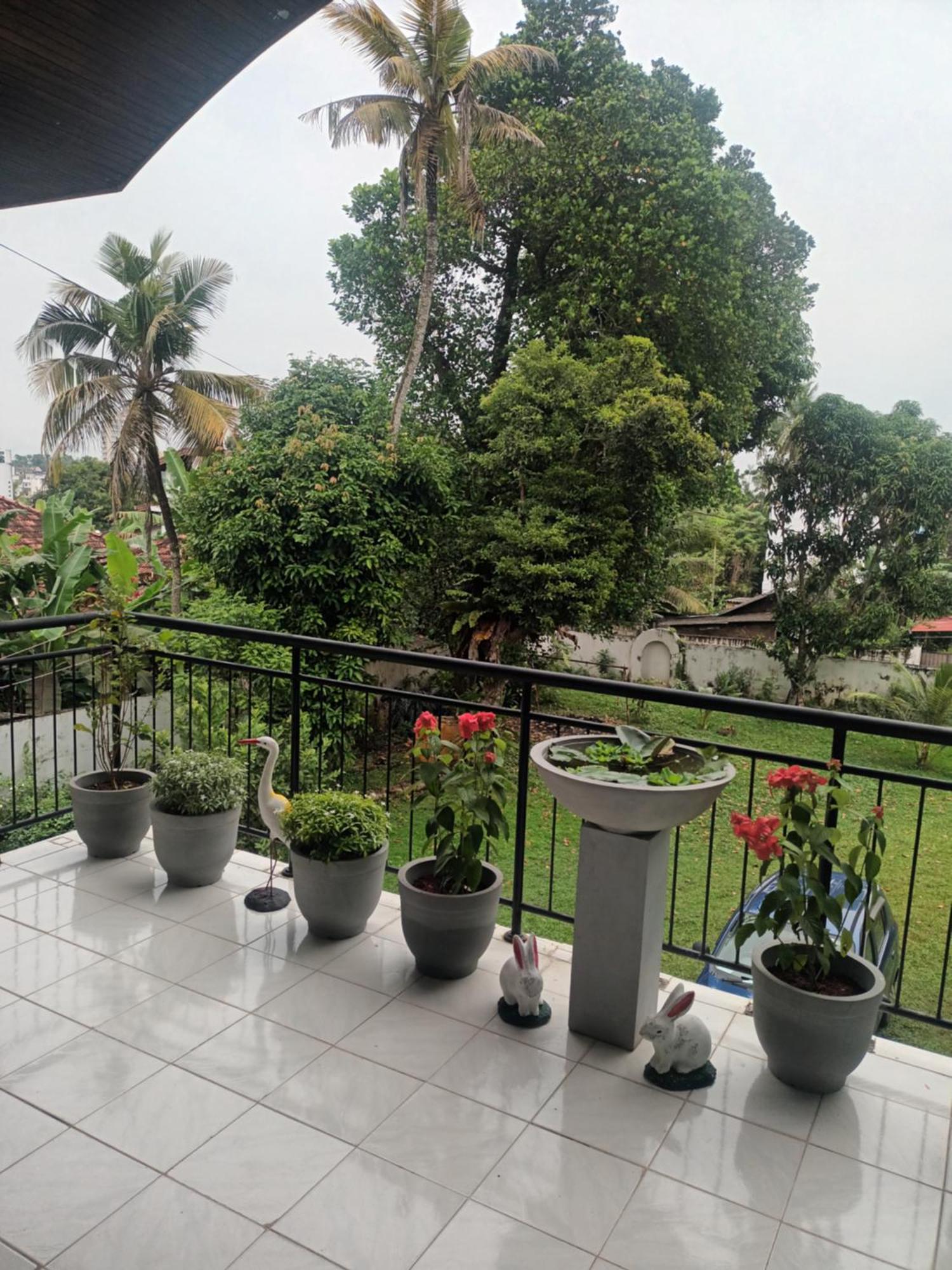 Lovely Flowers In Mount Lavinia マウントラビニア エクステリア 写真