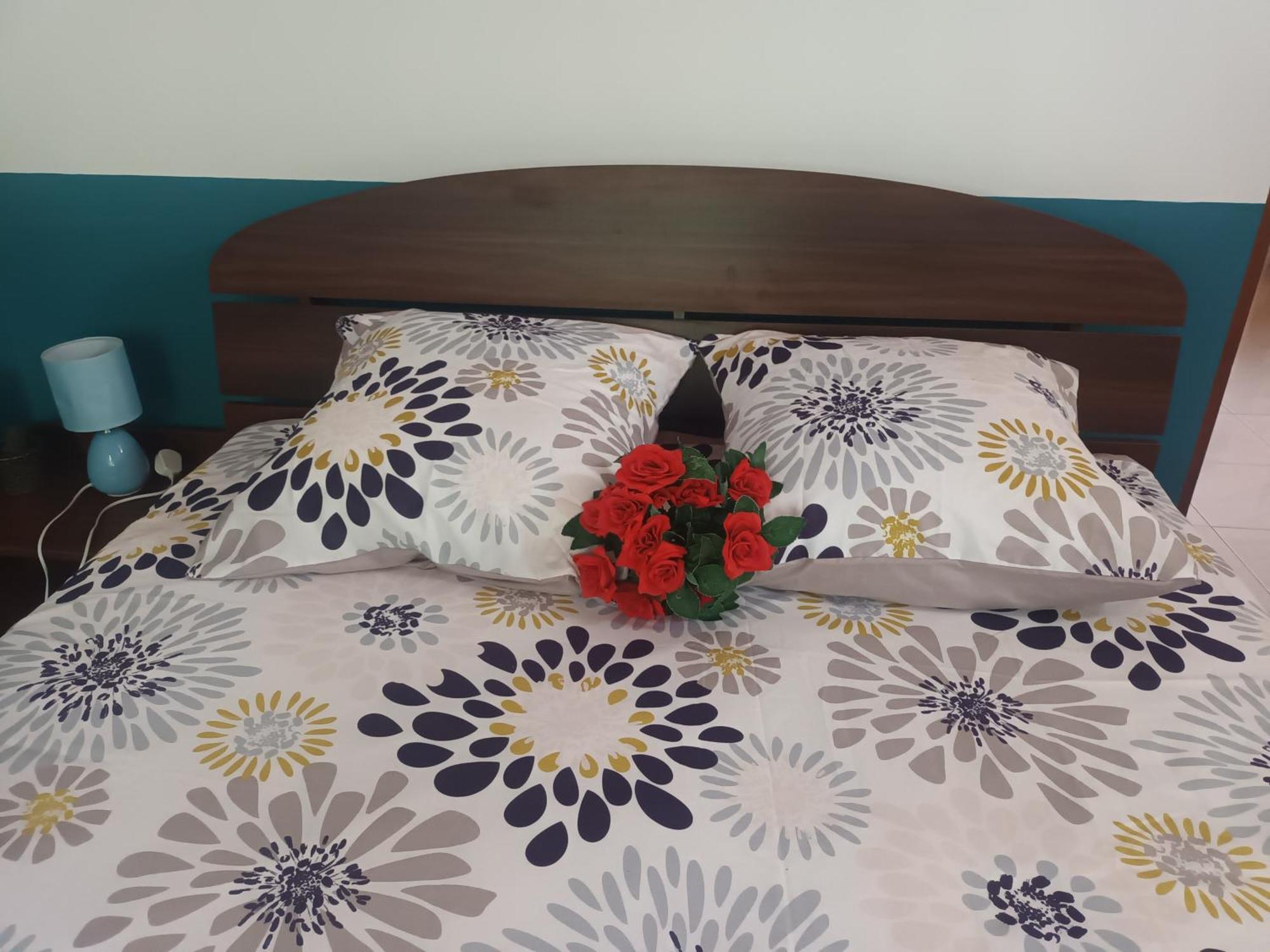 Lovely Flowers In Mount Lavinia マウントラビニア エクステリア 写真