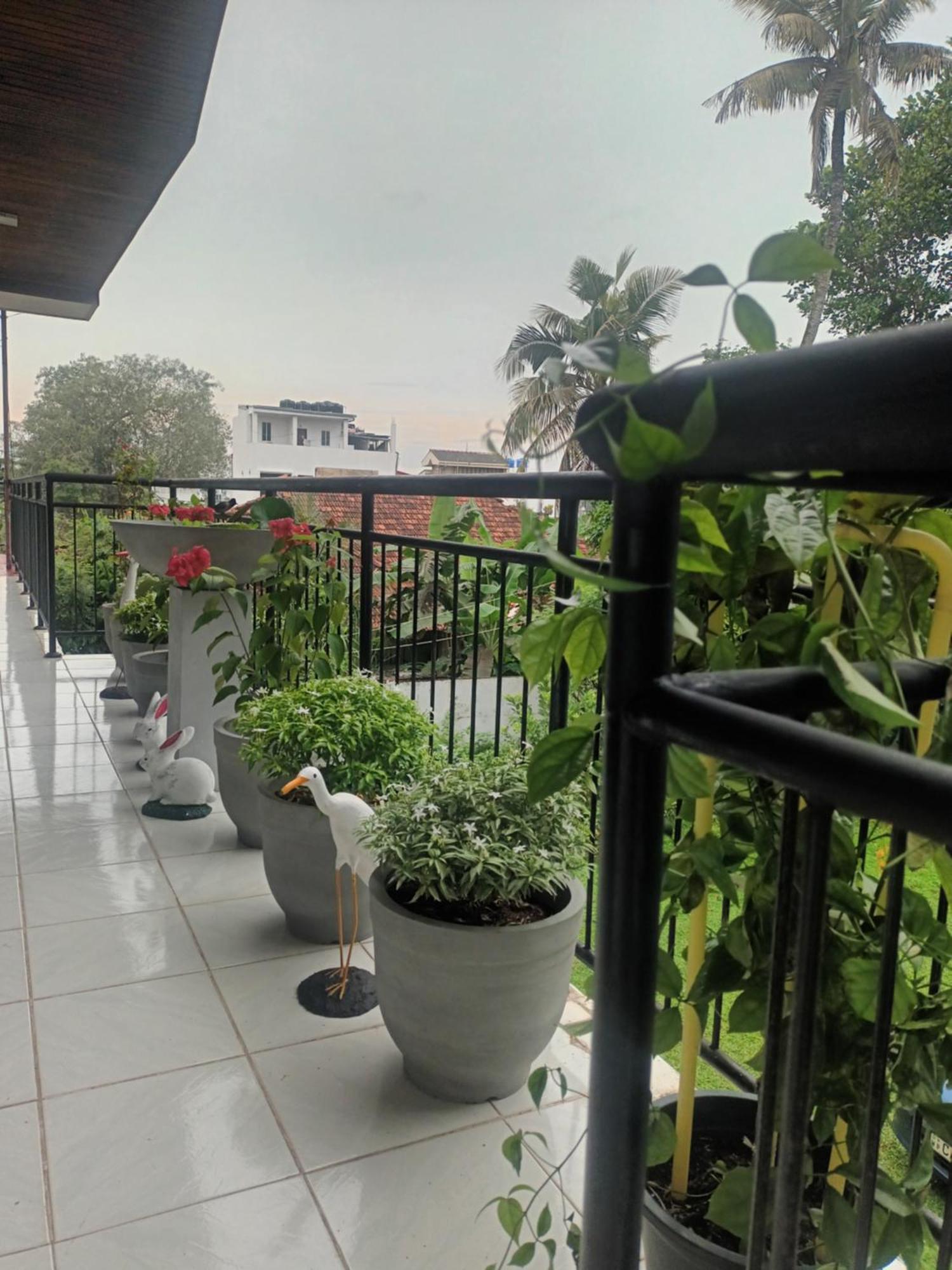 Lovely Flowers In Mount Lavinia マウントラビニア エクステリア 写真